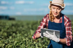 RFID in der Landwirtschaft - die kleinen großen Helfer